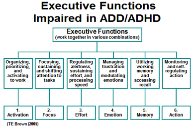 Executive function table